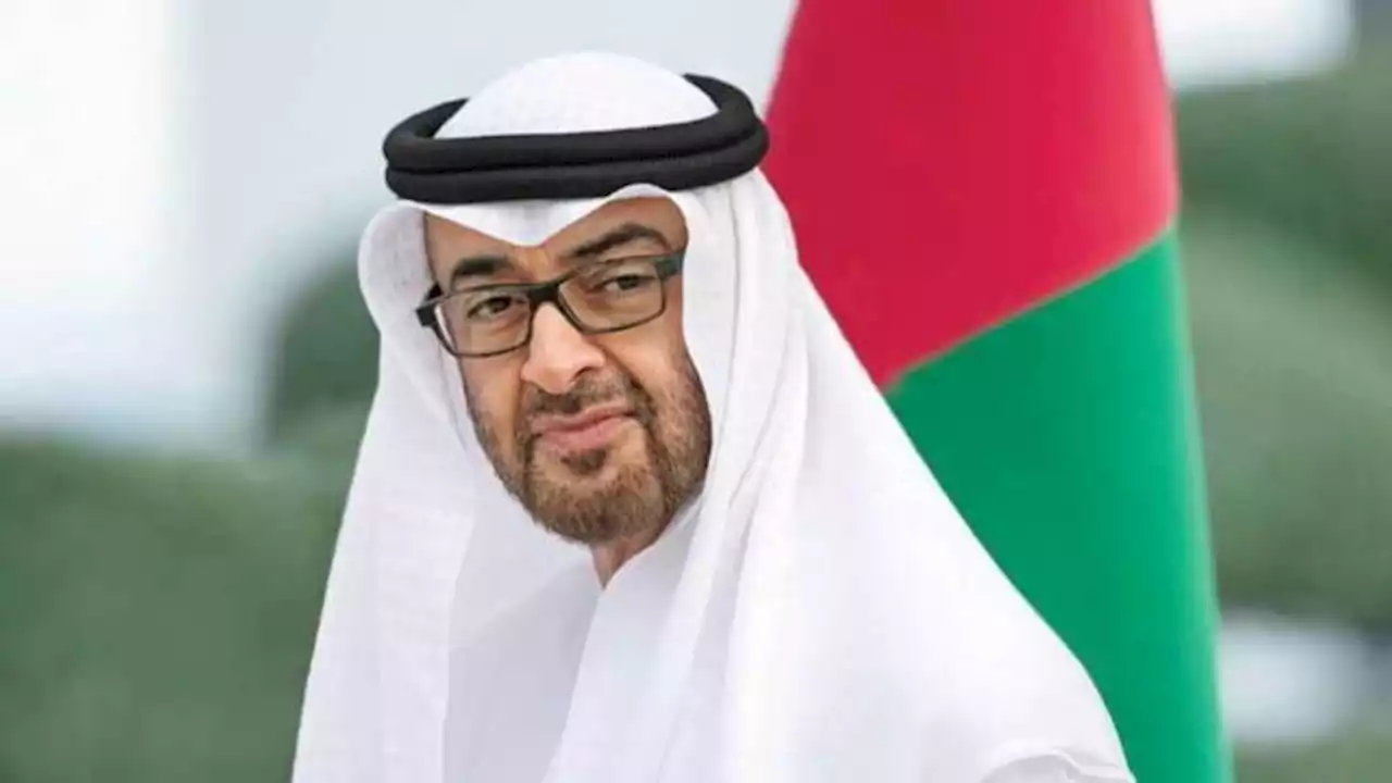 محمد بن زايد وحاكم رأس الخيمة يبحثان قضايا الوطن والمواطن | صحيفة الخليج