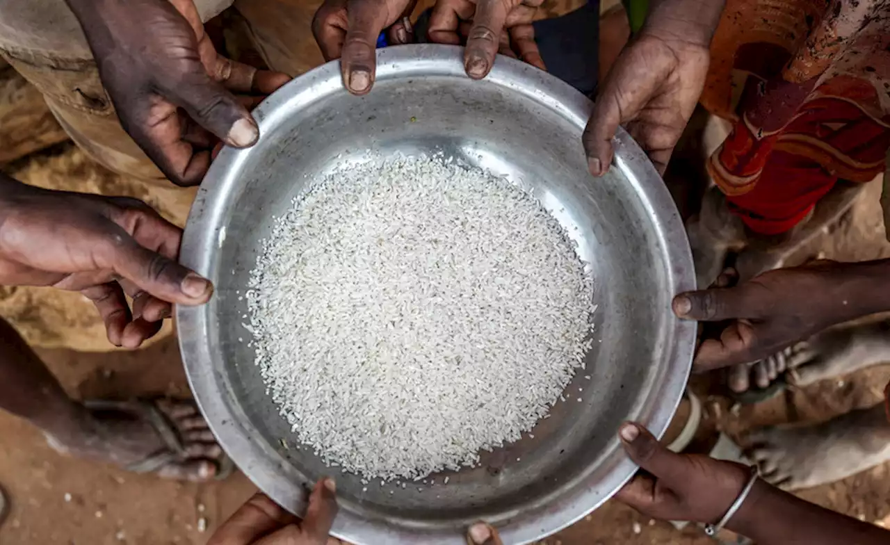 Nigeria: 25.3 Million People to Face Food Insecurity in Nigeria - FAO