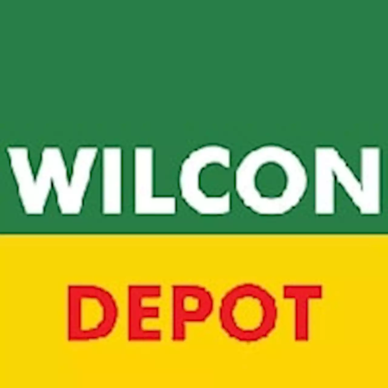 Wilcon 2022 income surges as local demand rebounds | BusinessMirror and VG Cabuag