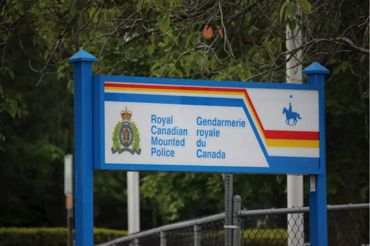 Parksville driver strikes two pedestrians, one in critical condition: RCMP