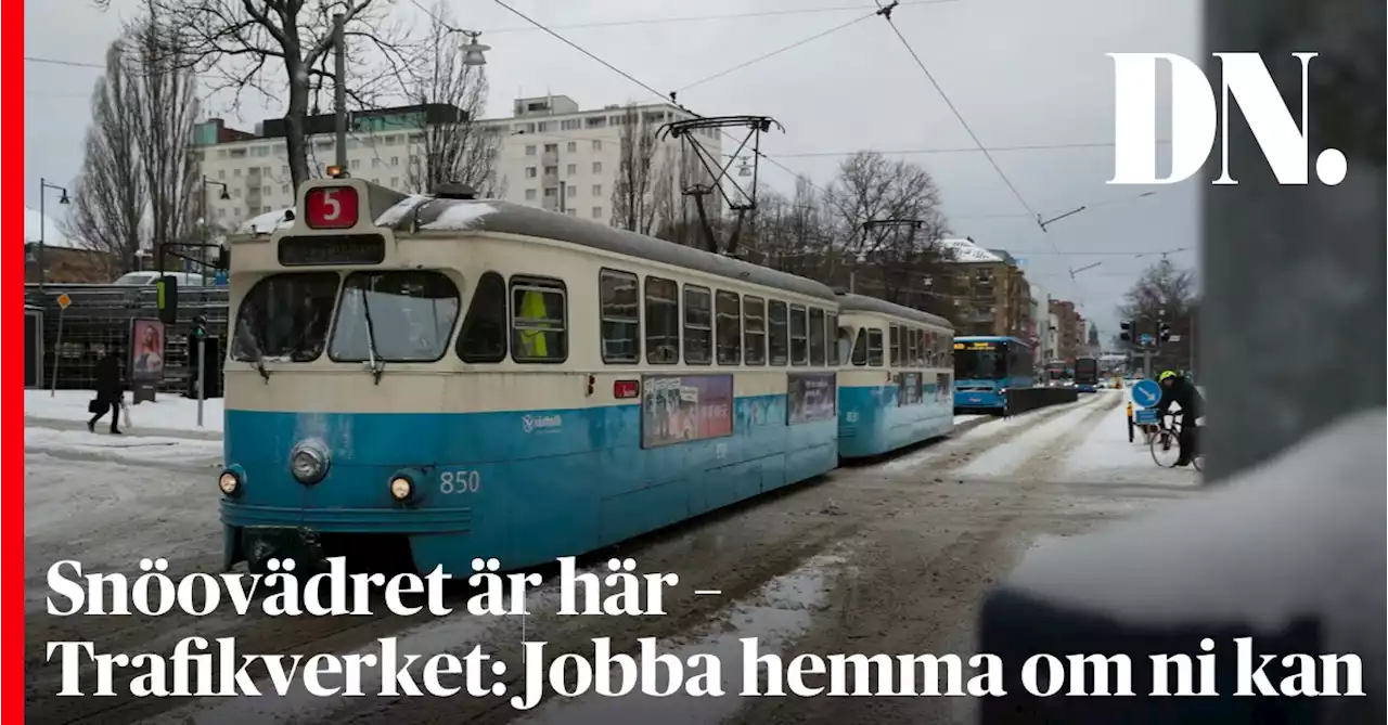 Snöovädret är här – Trafikverket: Jobba hemma om ni kan