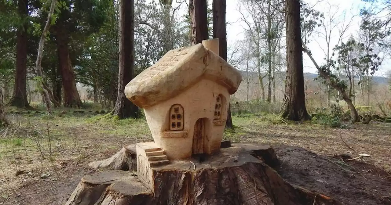 The whimsical spring walk in Scotland featuring a wood carved 'fairy trail'