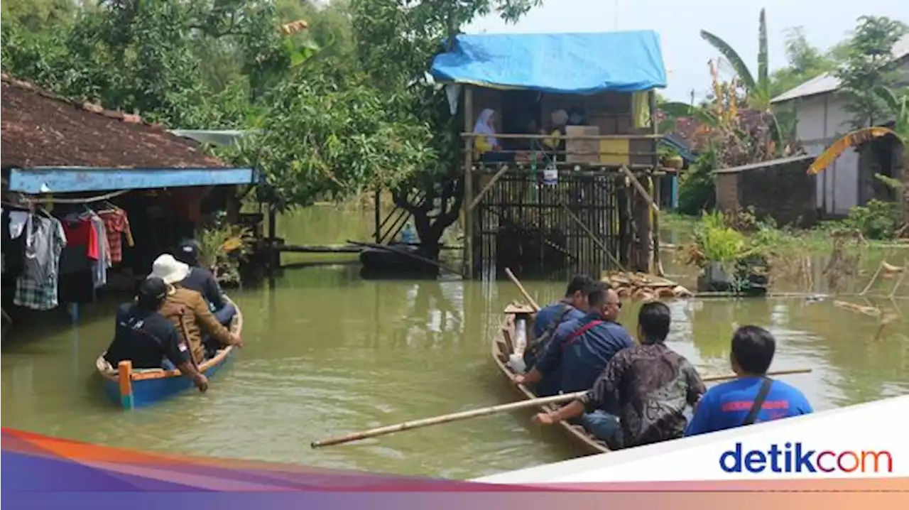 Nestapa Warga Pati Tinggal di Gubuk Atas Pohon gegara Seminggu Kebanjiran