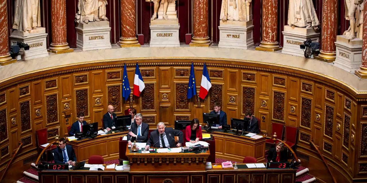 Réforme des retraites : pourquoi l'article 38 du règlement du Sénat pourrait accélérer les débats ?