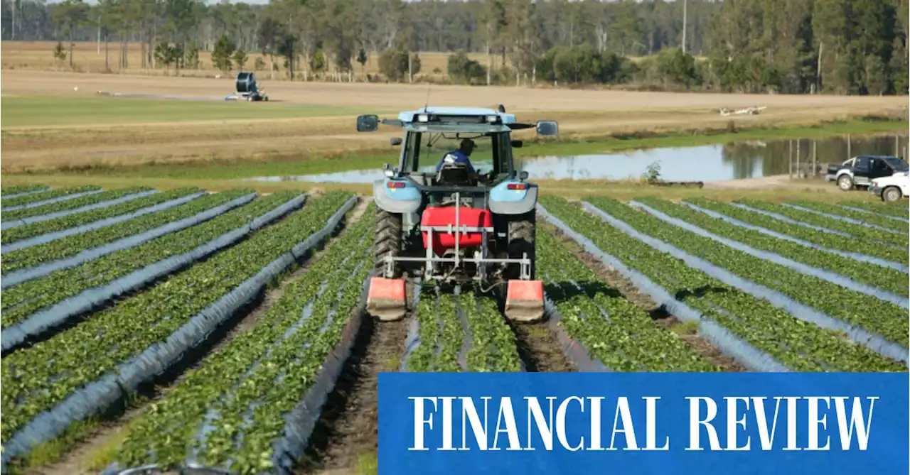 Farmers set for record $90b output - but the good times are limited