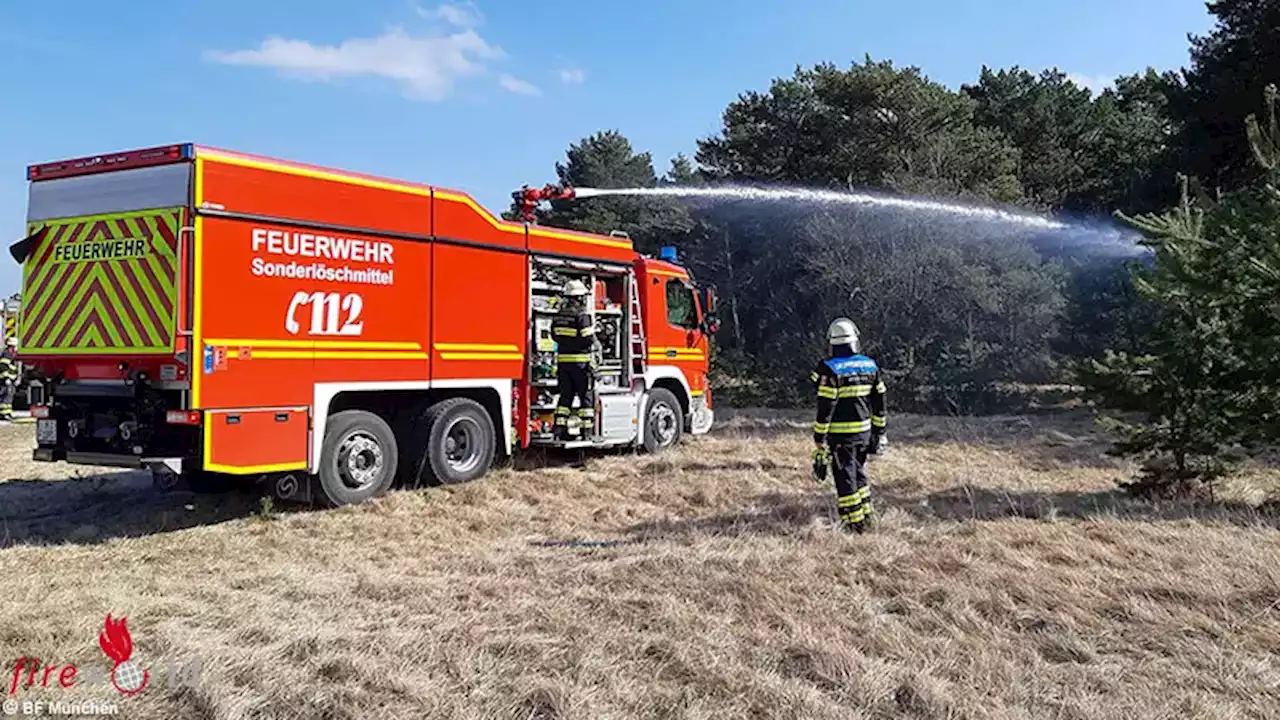 Bayern: Mehrere alte Bäume bei Flächenbrand in München in Mitleidenschaft gezogen