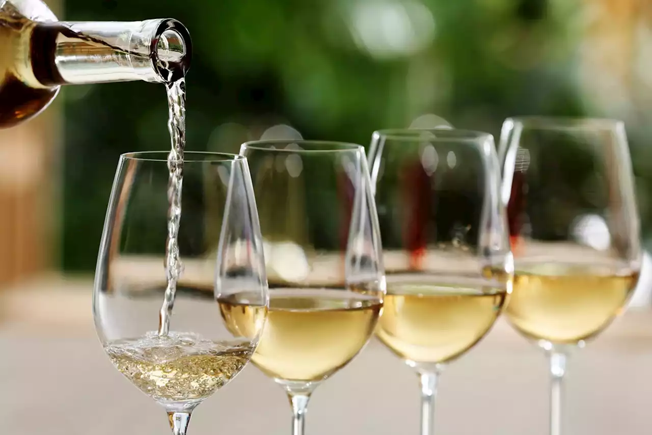 The 13 Best Pinot Grigios and Pinot Gris to Buy Right Now