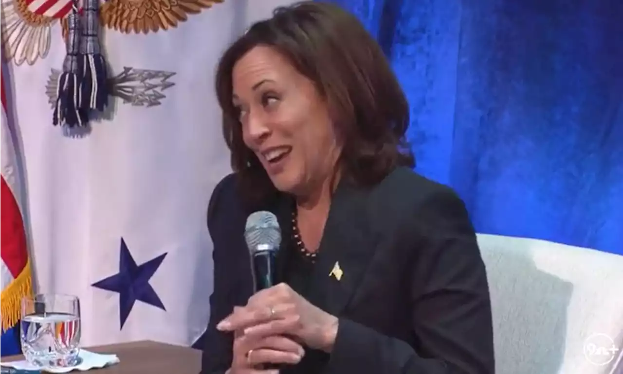 Internet roasts Kamala Harris for claiming she once asked 'Why are conservatives bad, mommy?'