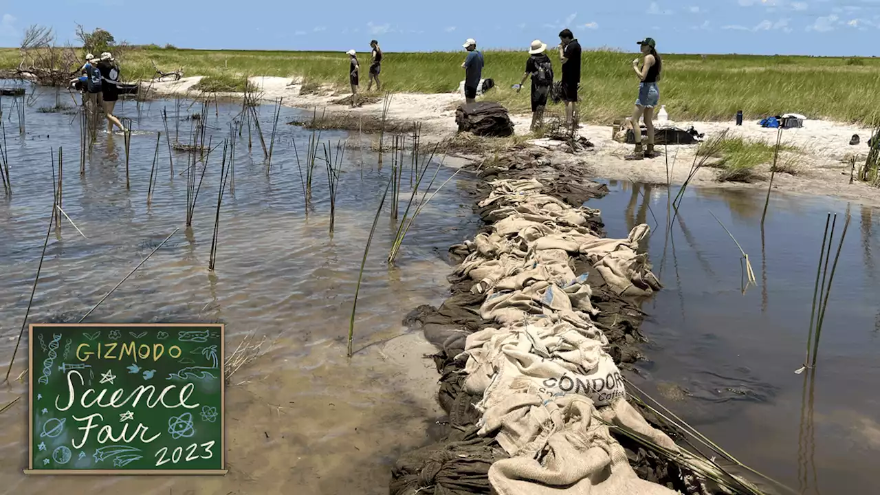 Restoring Louisiana’s Shoreline, One Glass Bottle at a Time