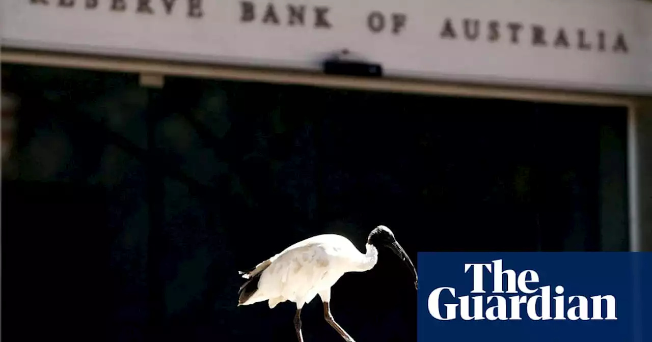 Interest rate rises: is there a less painful way for the RBA to curb inflation?