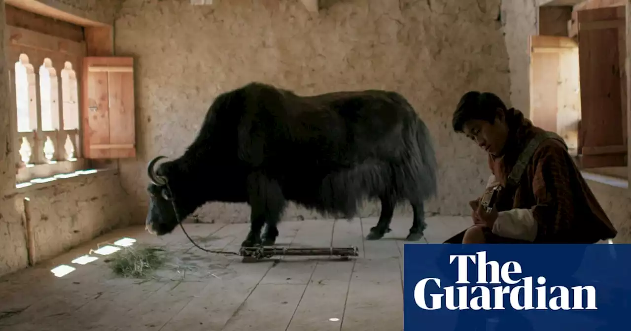 ‘They’d never seen sliced bread’: how a tiny film about Himalayan yak-herders conquered the world