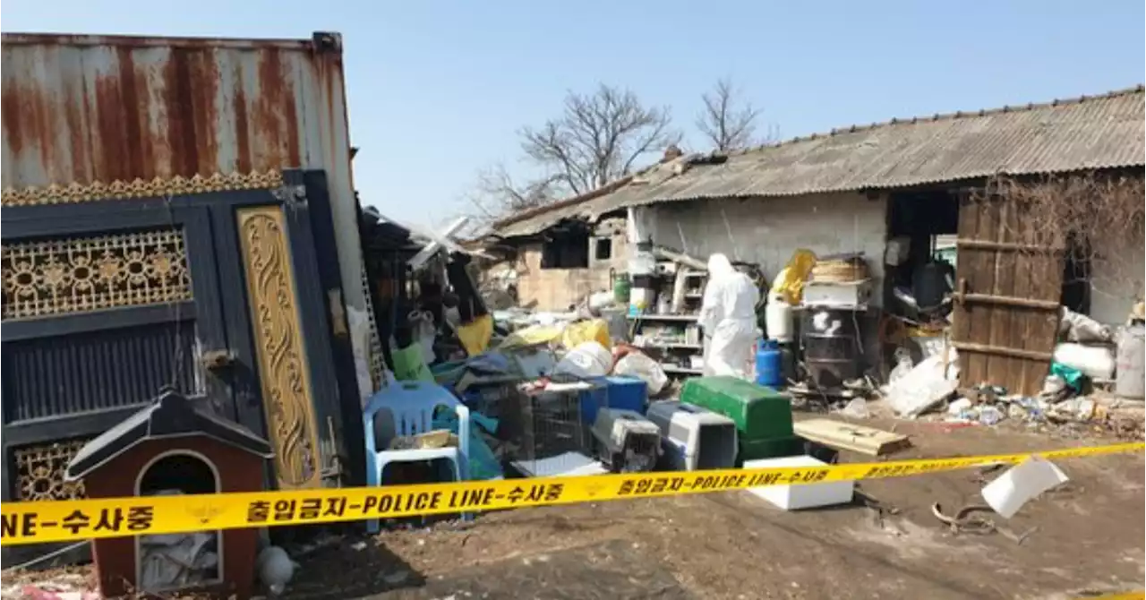 양평 주택서 1400구 넘는 개 사체 발견…60대 남성 사전영장 | 중앙일보