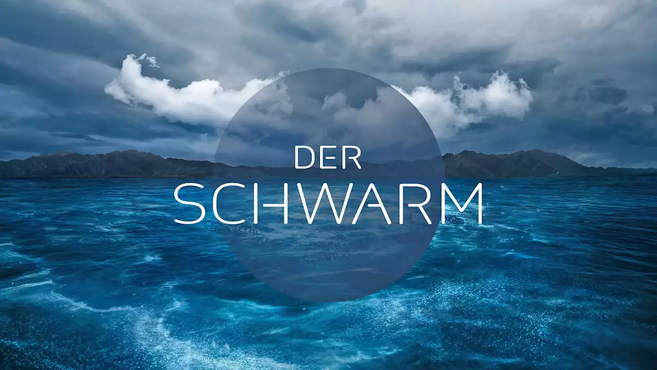 Nach bösen Worten von Frank Schätzing: „Der Schwarm“-Regisseurin wehrt sich gegen Kritik