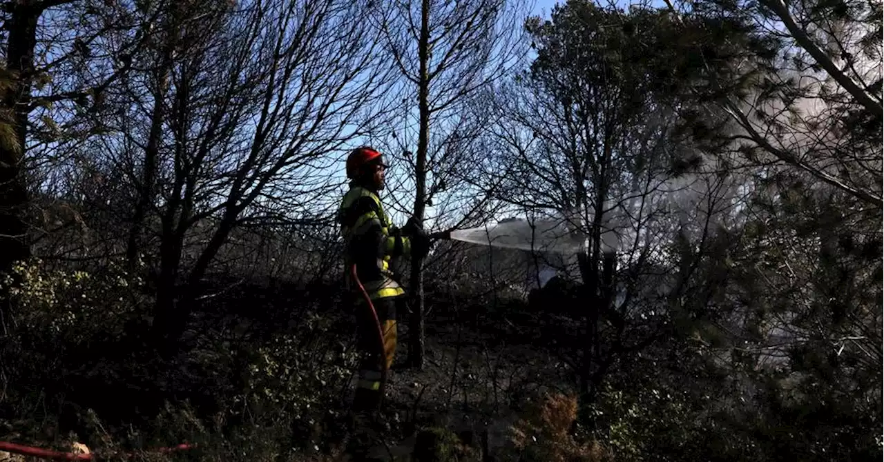 Hautes-Alpes : feu de forêt sur plusieurs hectares