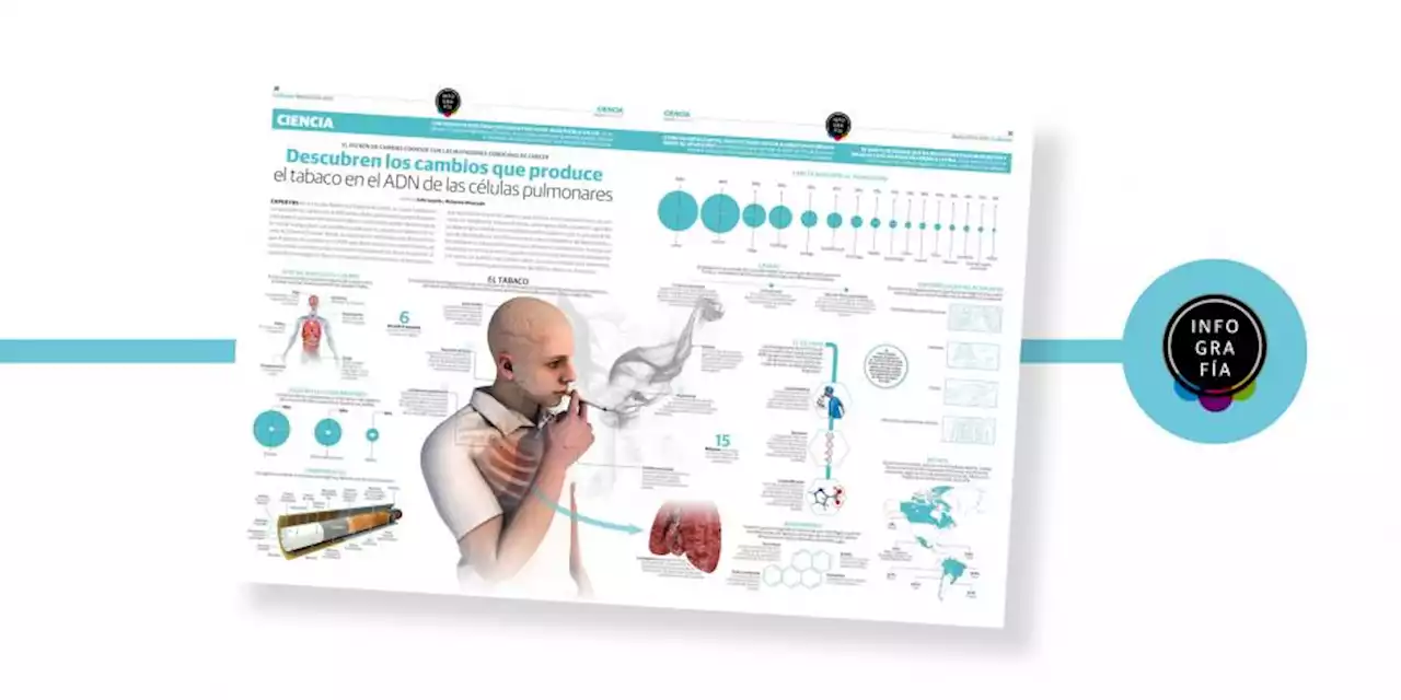 Descubren los cambios que produce el tabaco en el ADN de las células pulmonares