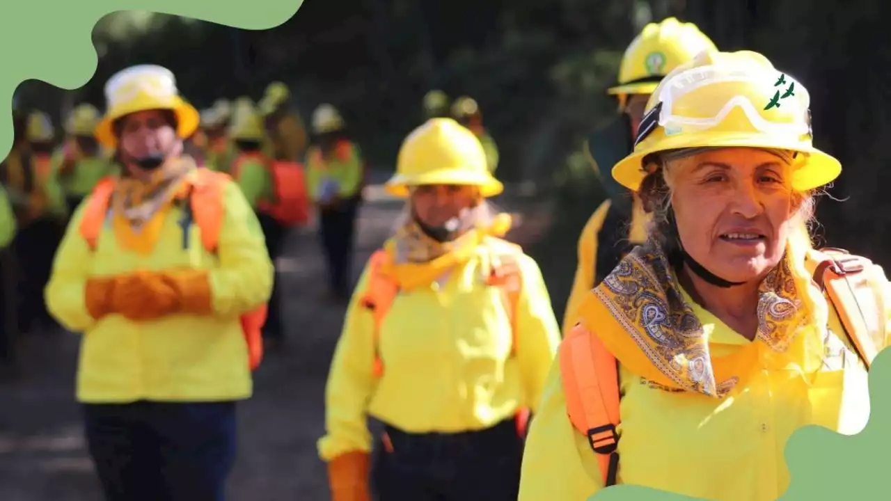 Brigada 031: el primer grupo de mujeres en Edomex a la defensa de los bosques