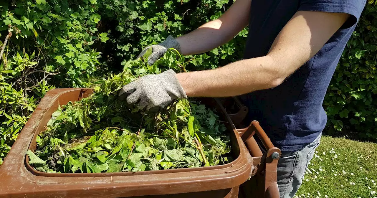 Brown bin collections to start across Leeds next week