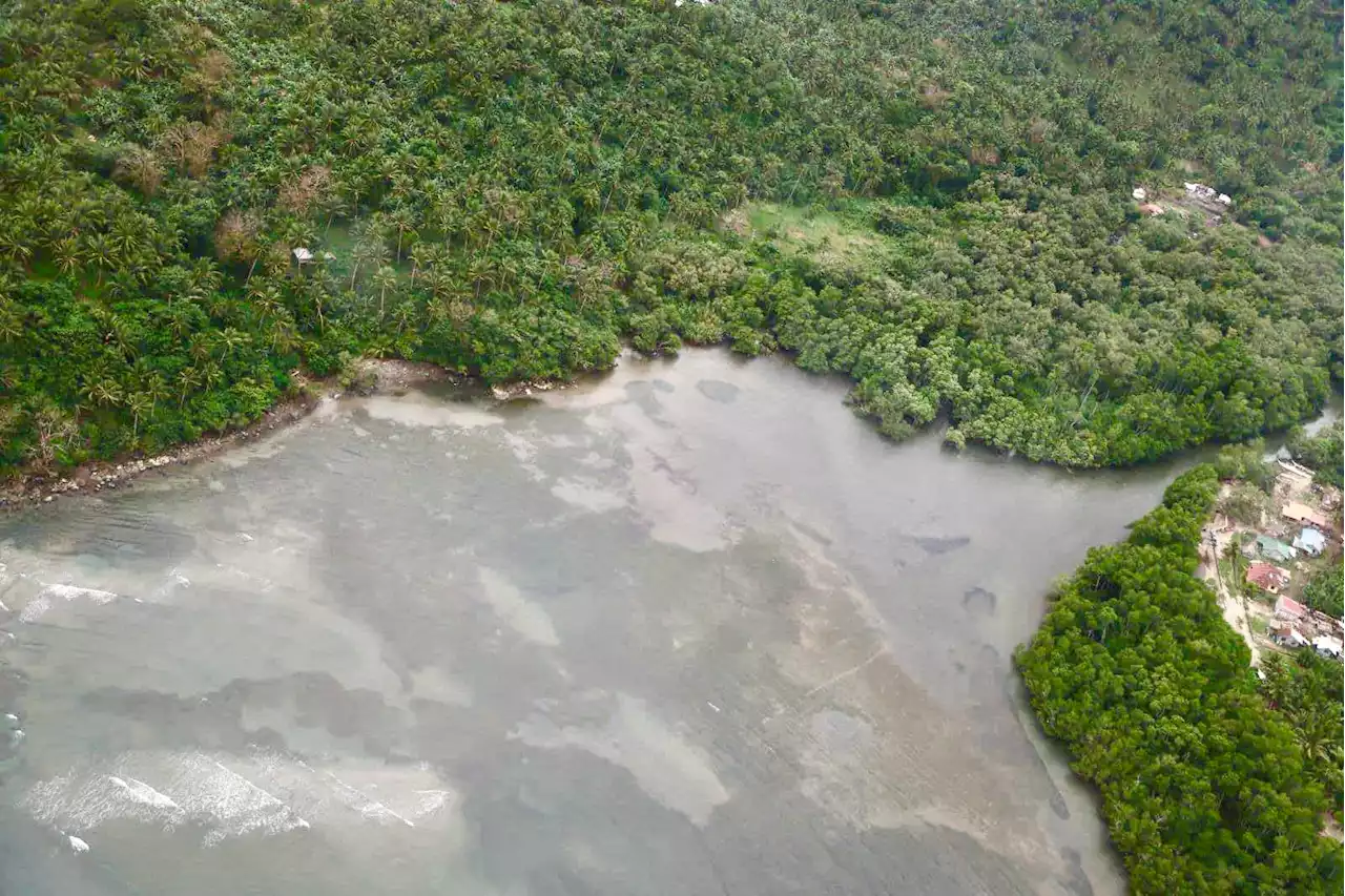 Oriental Mindoro oil spill now affecting tourist spots—DOT