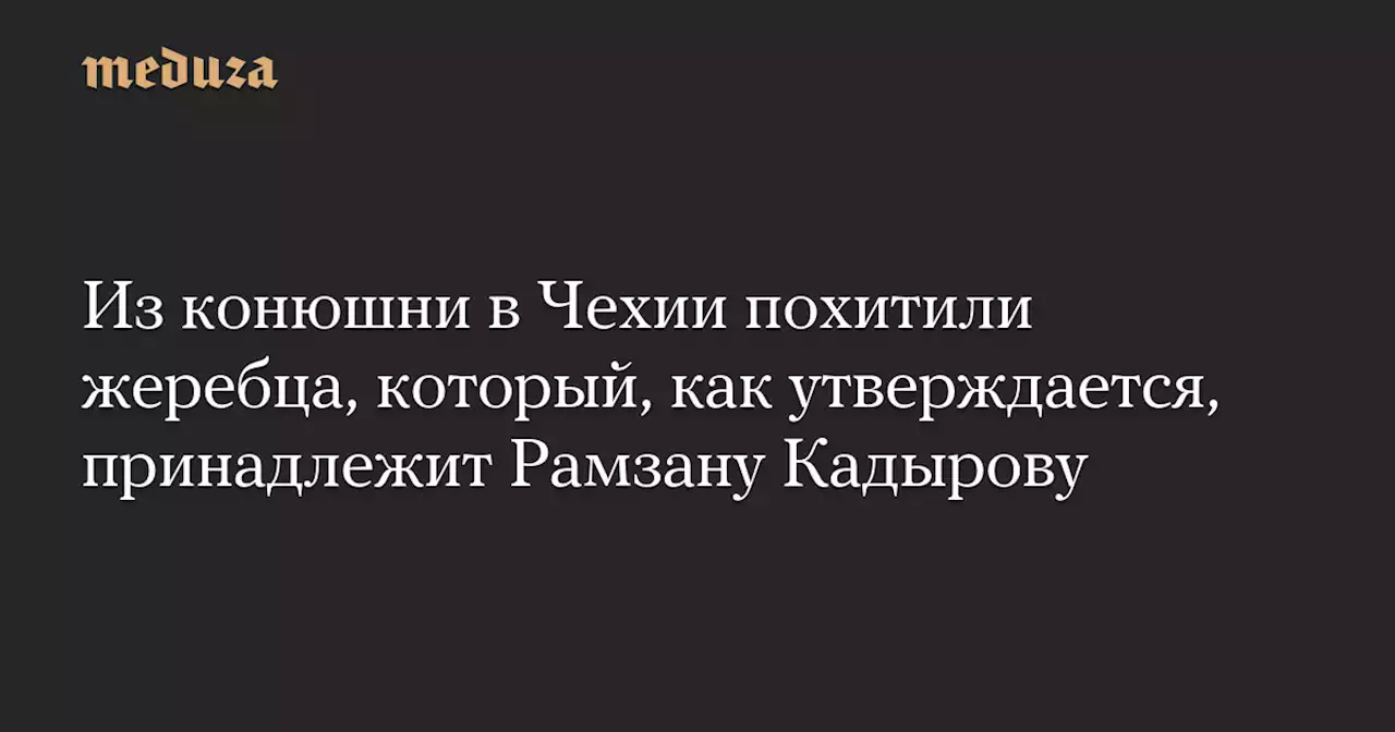 Из конюшни в Чехии похитили жеребца, который, как утверждается, принадлежит Рамзану Кадырову — Meduza