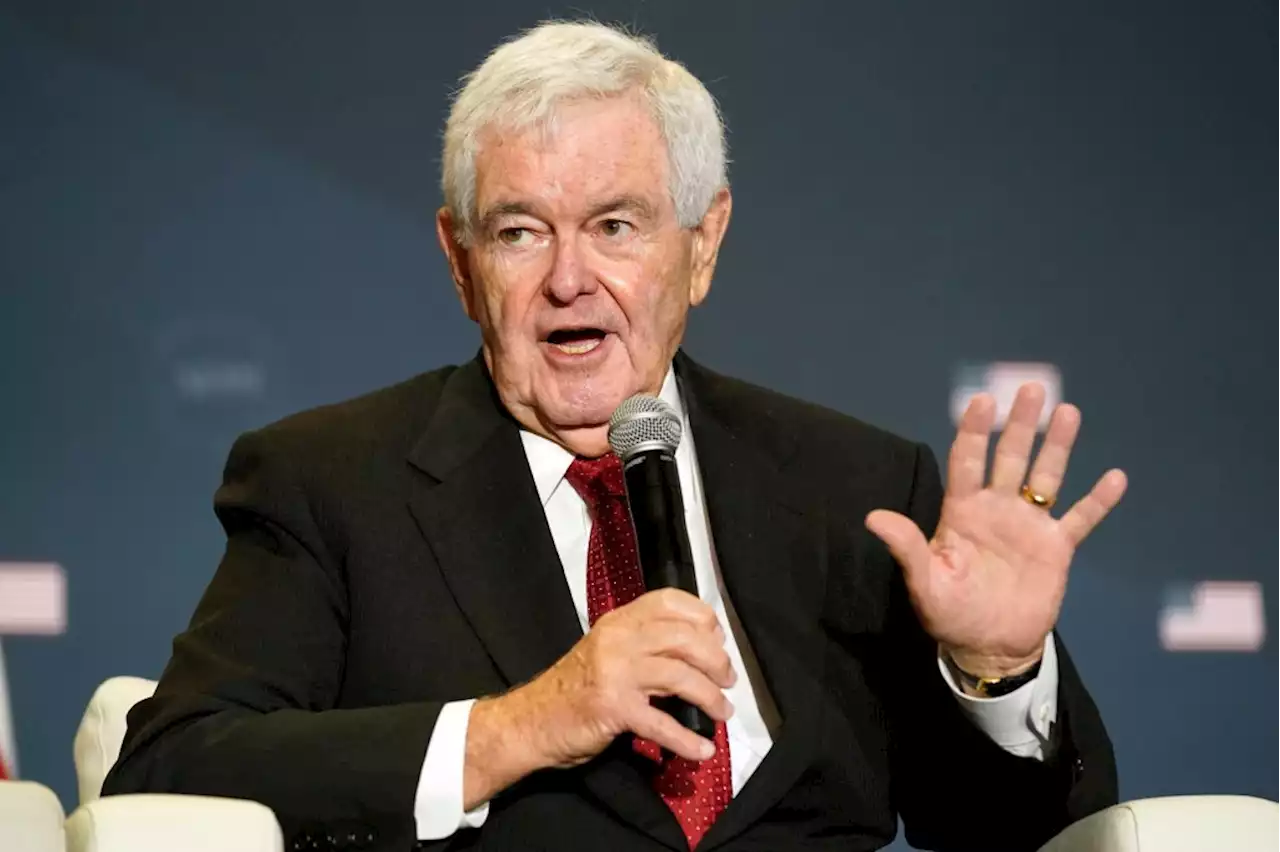 Gingrich calls Florida blogger registration bill ‘insane’