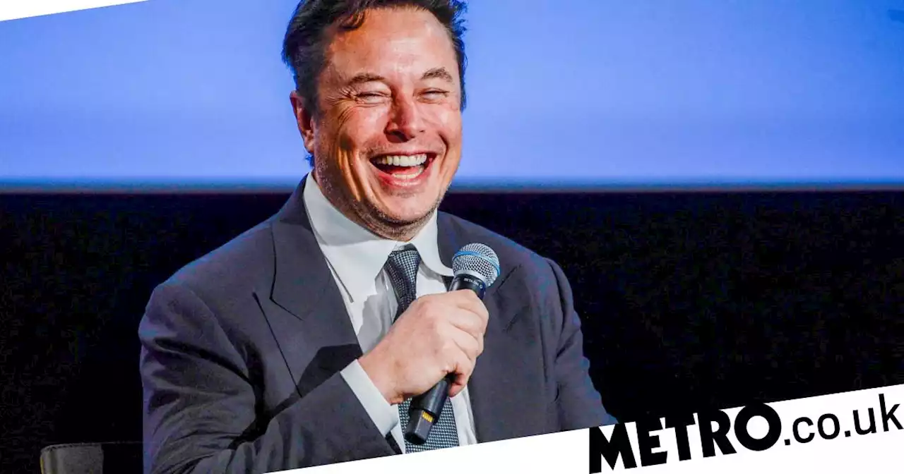 Elon Musk mocks BBC investigation exposing an increase in Twitter trolls