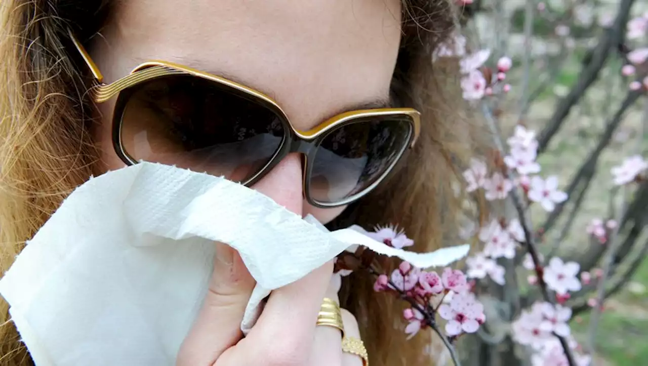 Allergies : bientôt un essai clinique pour le vaccin contre l'asthme développé à Toulouse