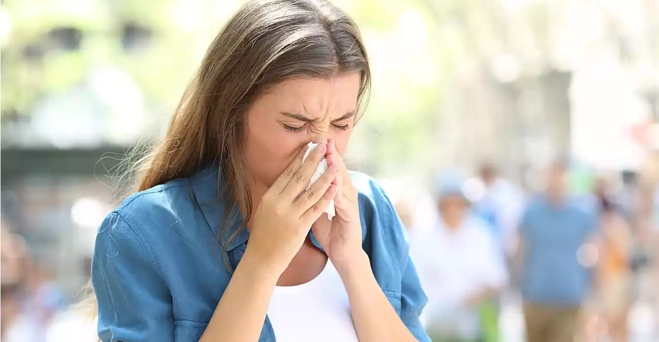 Allergie-Zeit: Bernd Lamprecht hat Expertentipps für Allergiker