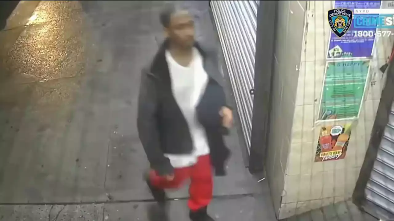 Suspect Nabbed in Late-Night Manhattan Stairwell Rape; Tied to 2019 Sex Crime of Teen: NYPD