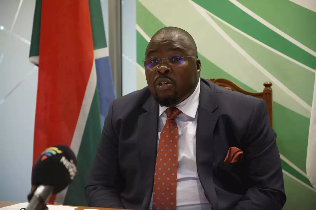 Makwarela removed from mayoral position after failing to prove he's not insolvent | News24