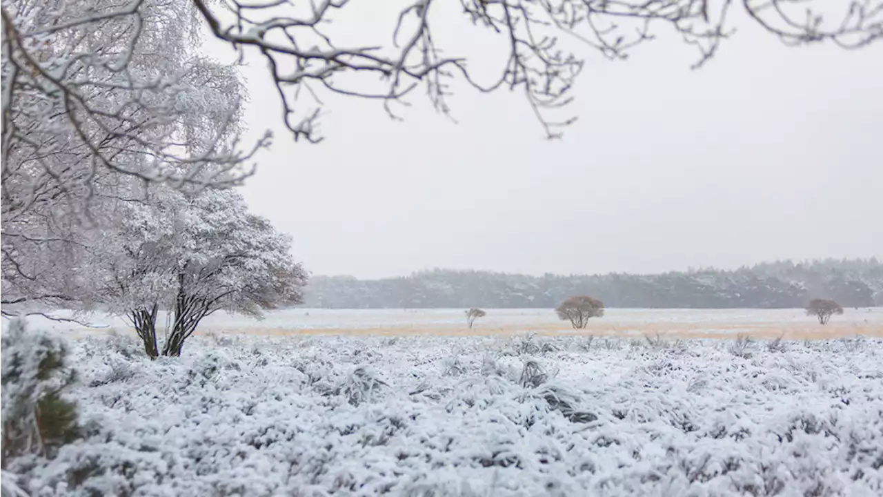 Sneeuw in het voorjaar: dit zijn de meest opvallende keren dat het ook gebeurde