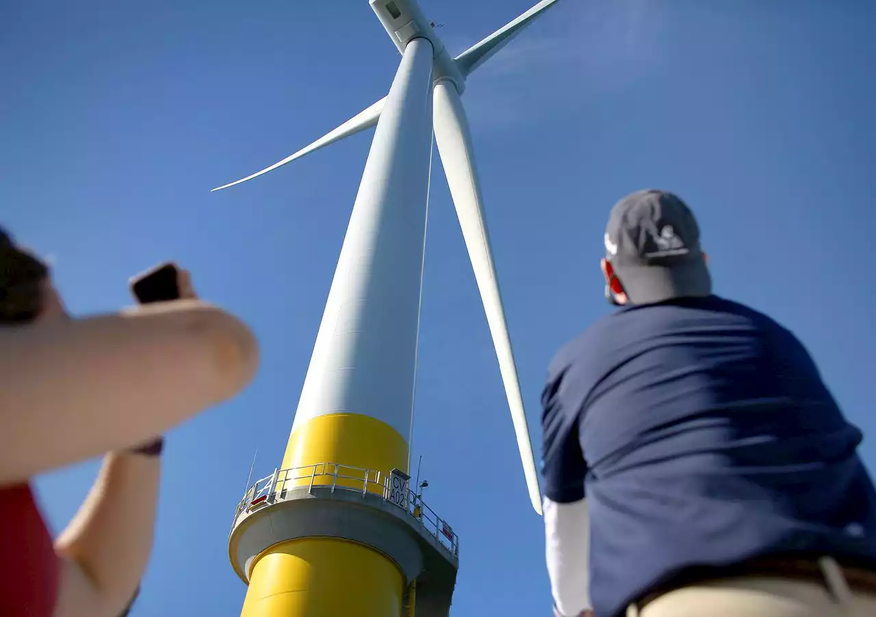 N.J. invites more offshore wind farms, says whale deaths not linked to turbines