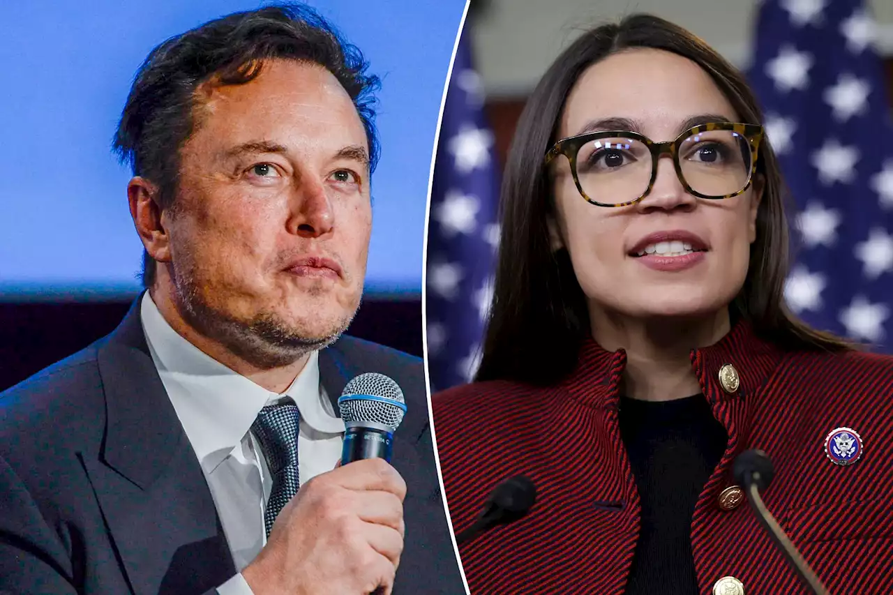 Elon Musk reveals why he thinks AOC will ‘never’ date him