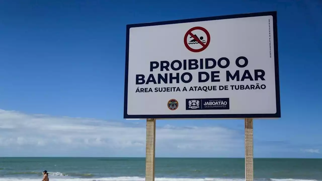 Una playa brasileña registró dos ataques de tiburones en 24 horas | En Recife