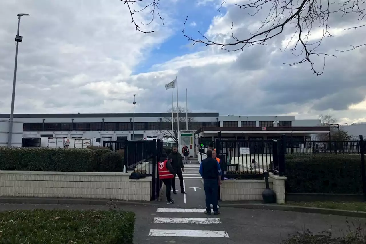 Réforme des retraites : dans les abattoirs, la galère pour atteindre les 60 ans