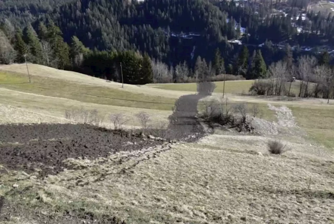 Auslaufende Jauche verschmutzt Fluss - Schweizer Bauer