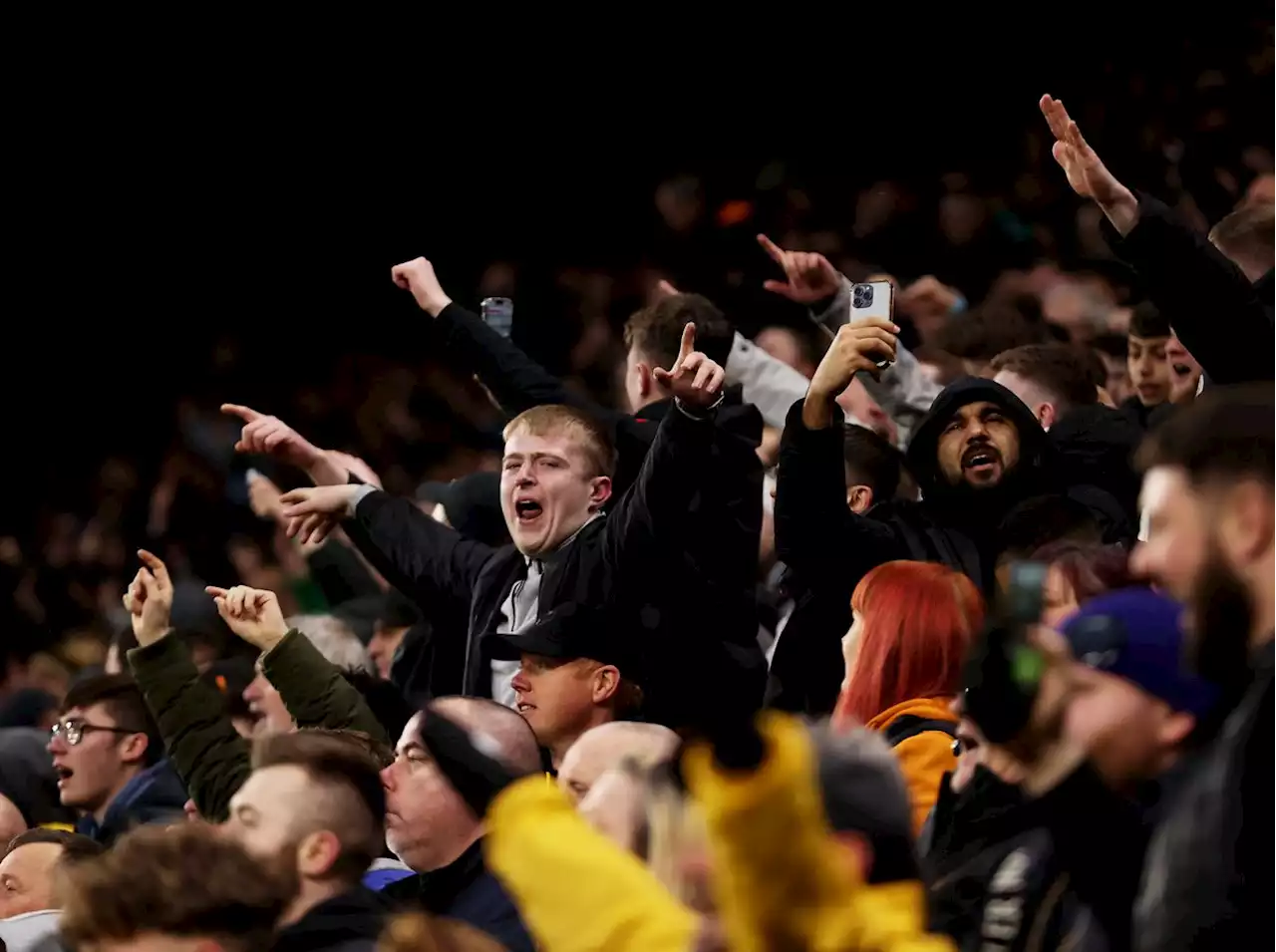 Wolves rated among 'cheapest Premier League teams to follow'