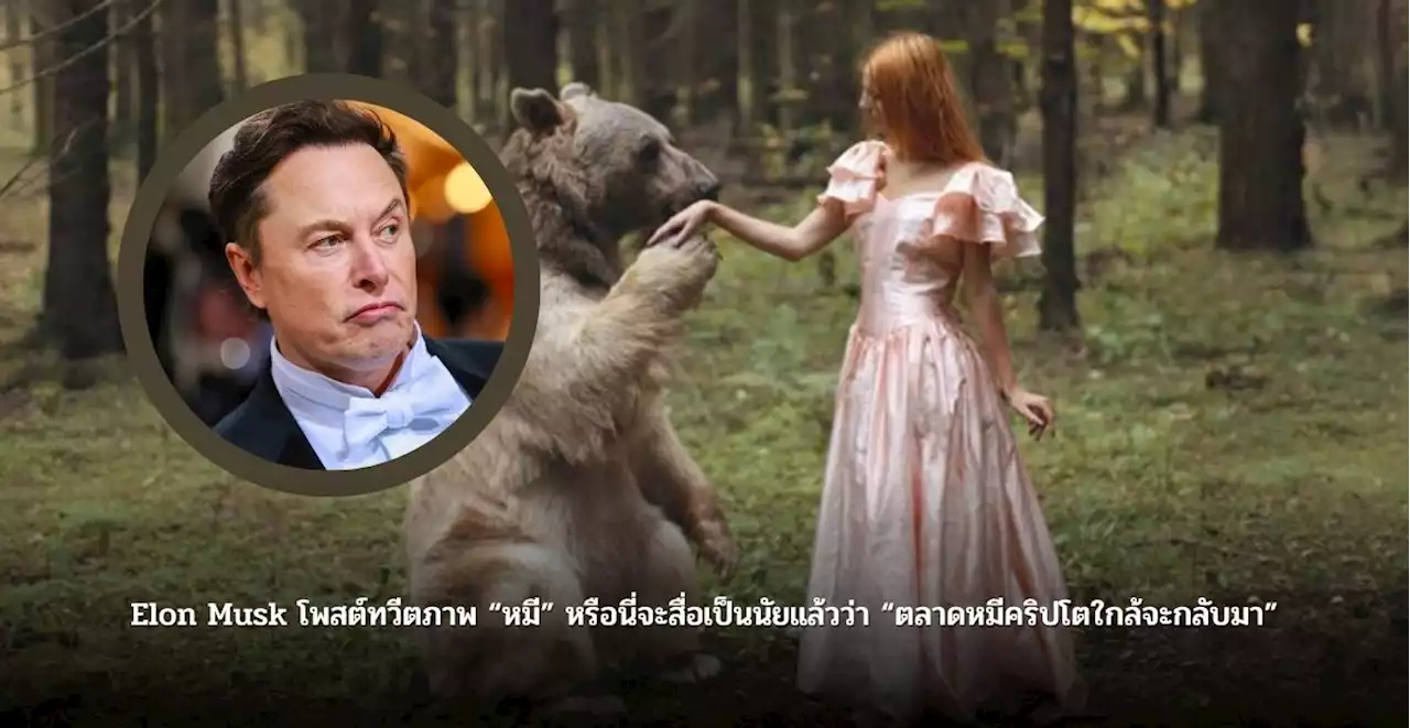 Elon Musk โพสต์ทวีตภาพ “หมี” หรือนี่จะสื่อเป็นนัยแล้วว่า “ตลาดหมีคริปโตใกล้จะกลับมา”