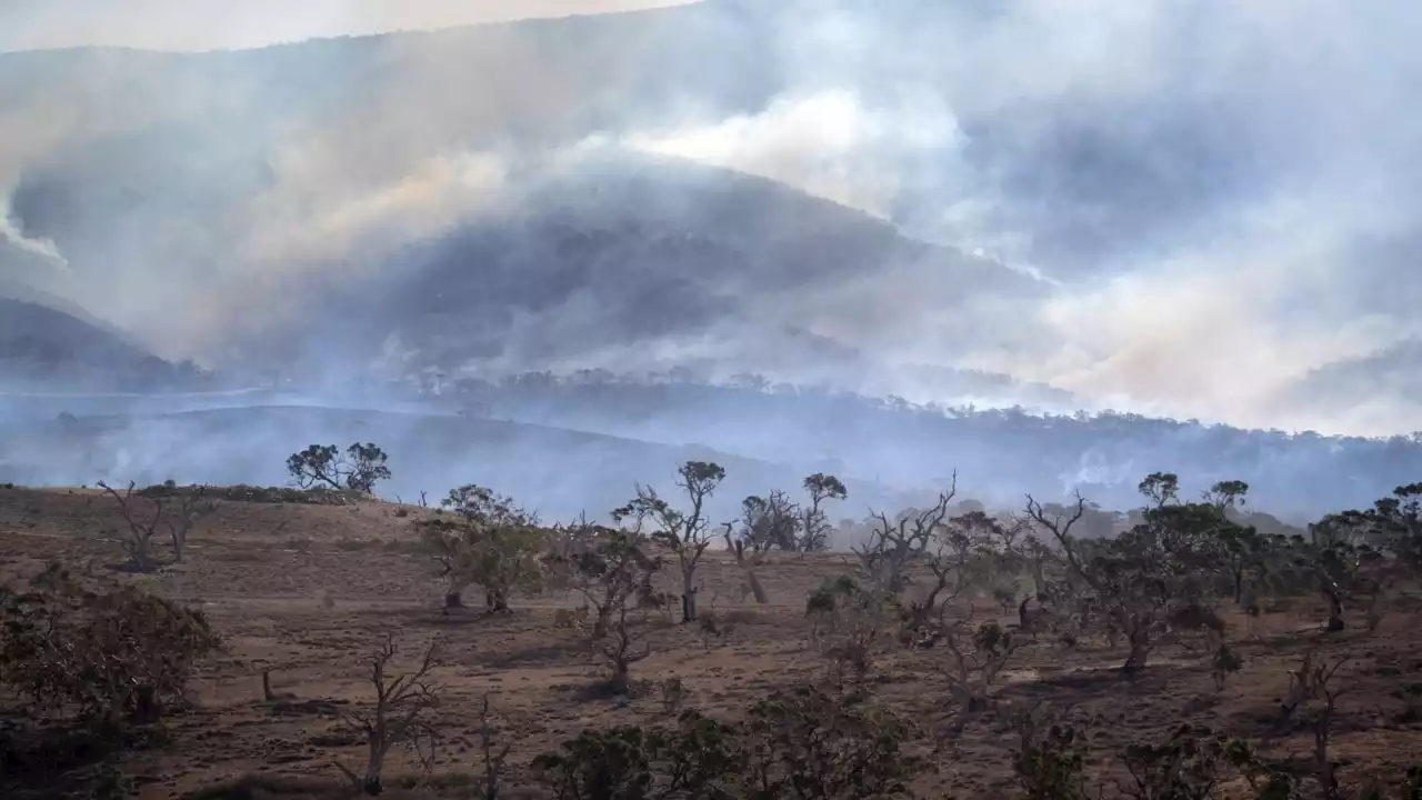 Several bushfires burning across NSW