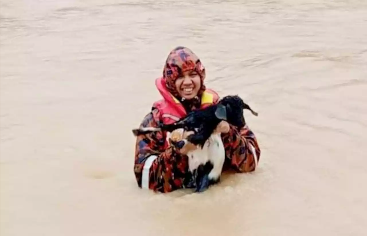 Fireman risks his life to rescue baby goat