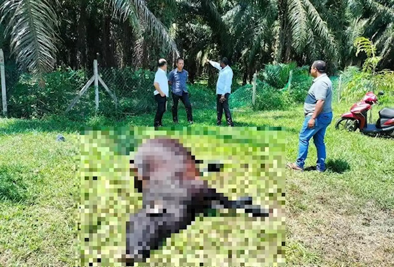 Melaka CM orders probe into cattle deaths