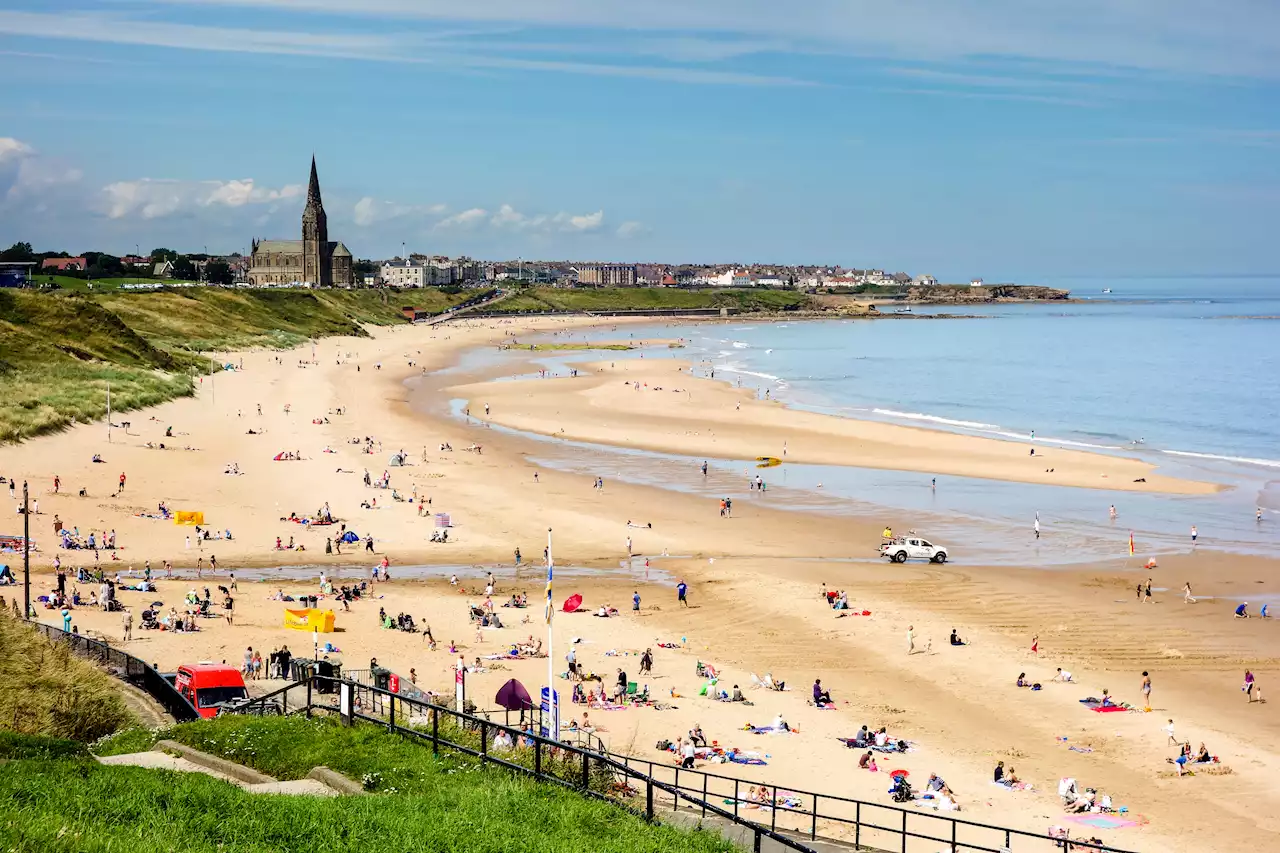 Visit the UK seaside town with dolphins, a music festival and sandy beaches