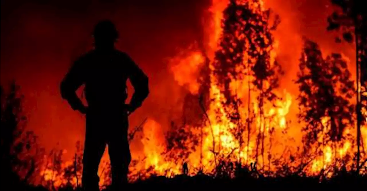 Australian officials warn of bushfire threat as heatwave grips Sydney