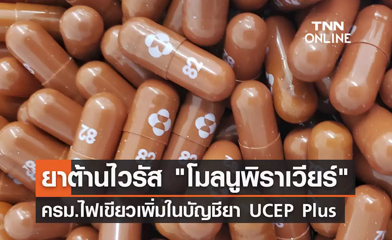 ครม.ไฟเขียวเพิ่มรายการยาต้านไวรัส 'โมลนูพิราเวียร์' ในบัญชียา UCEP Plus