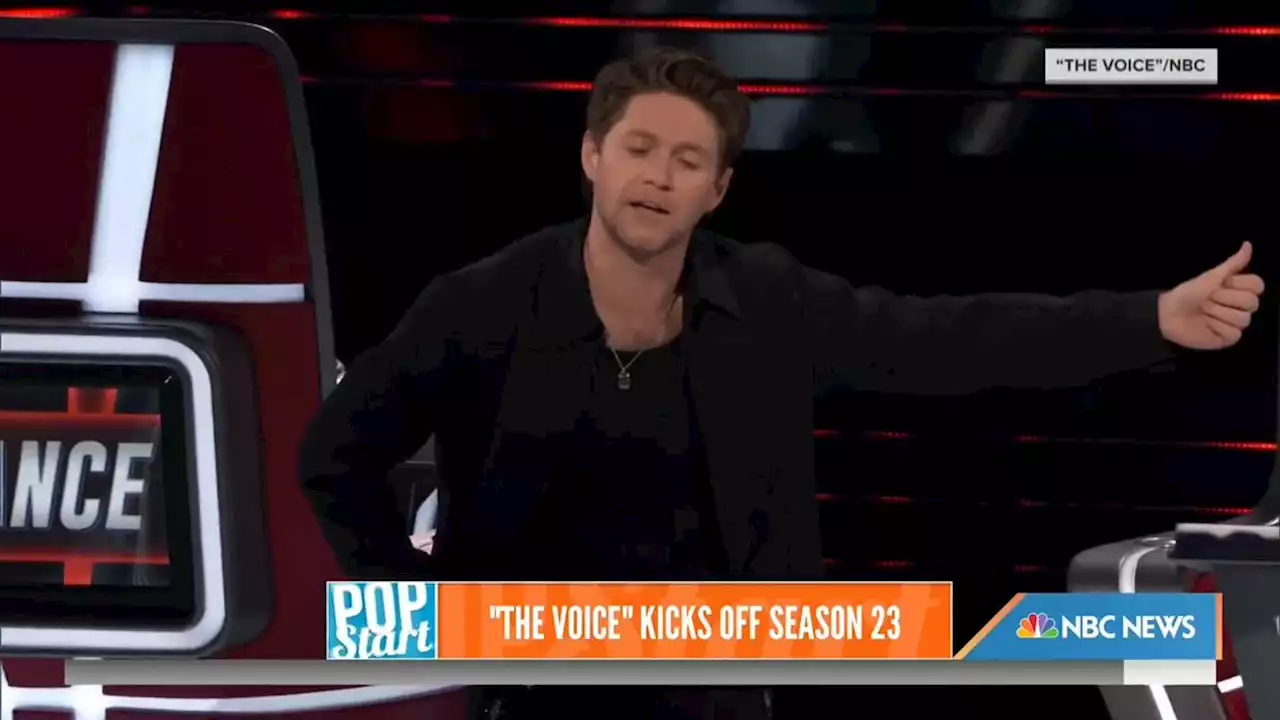 Niall Horan did WHAT while begging singer to join his team on ‘The Voice’?