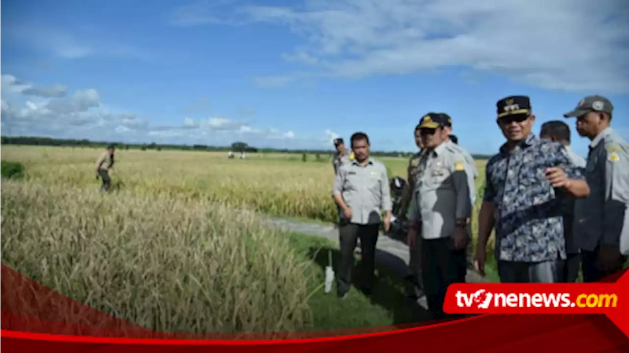 Panen Raya Padi Satu Juta Hektar di Indonesia akan Dimulai dari Kebumen