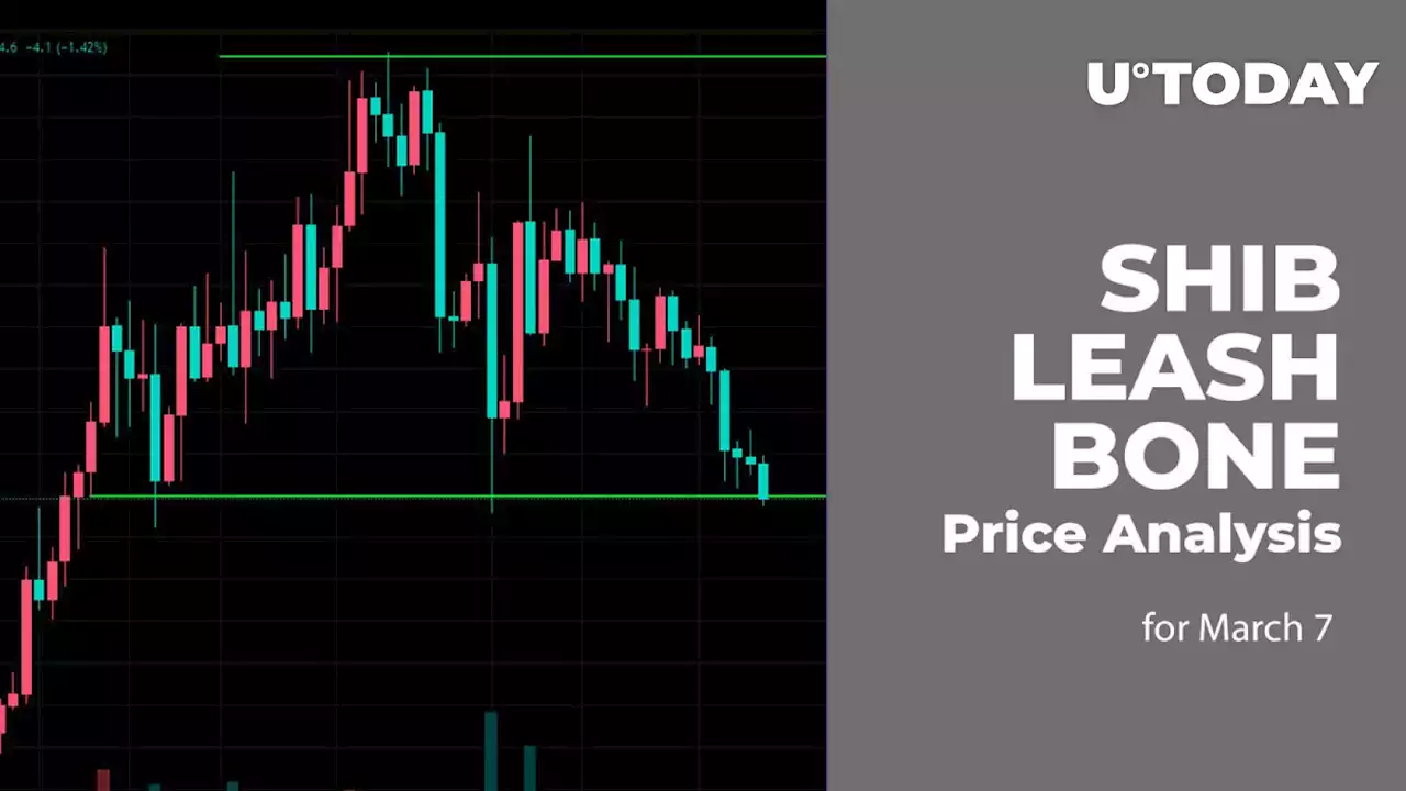 SHIB, LEASH and BONE Price Analysis for March 7