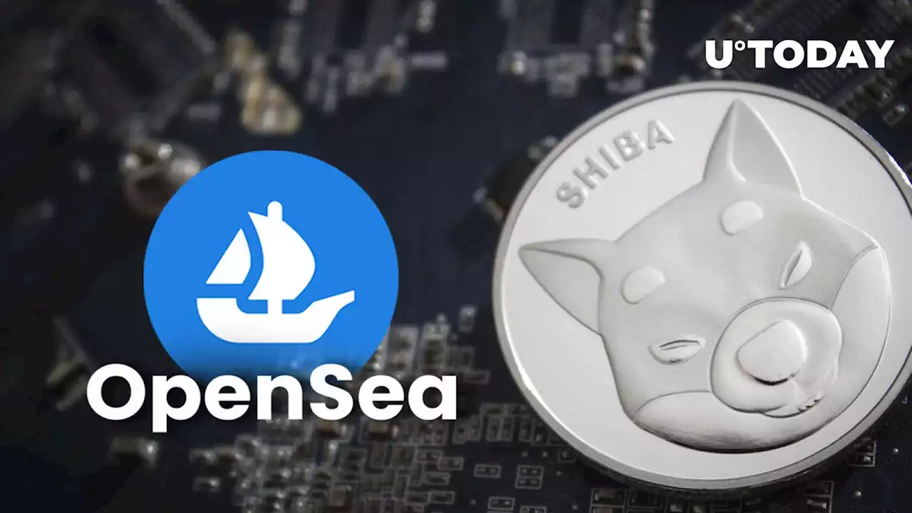 Shiba Inu (SHIB) Creator Name Revealed Thanks to OpenSea