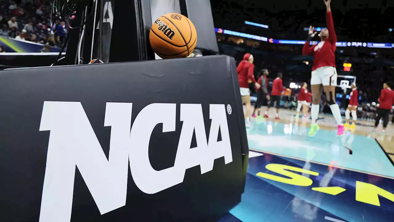 March Madness: Everything you need to know ahead of the NCAA tournaments, Selection Sunday