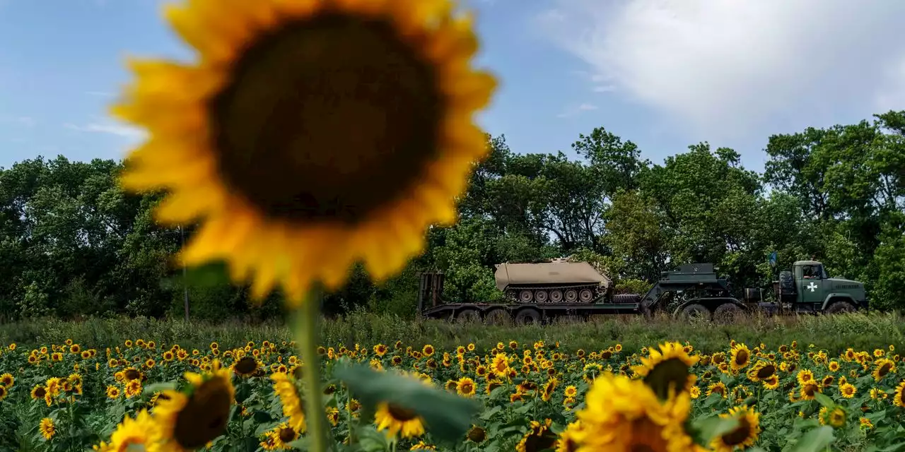 Ukraine Shift on Sunflower-Seed Exports Calms Cooking-Oil Market Rocked by War