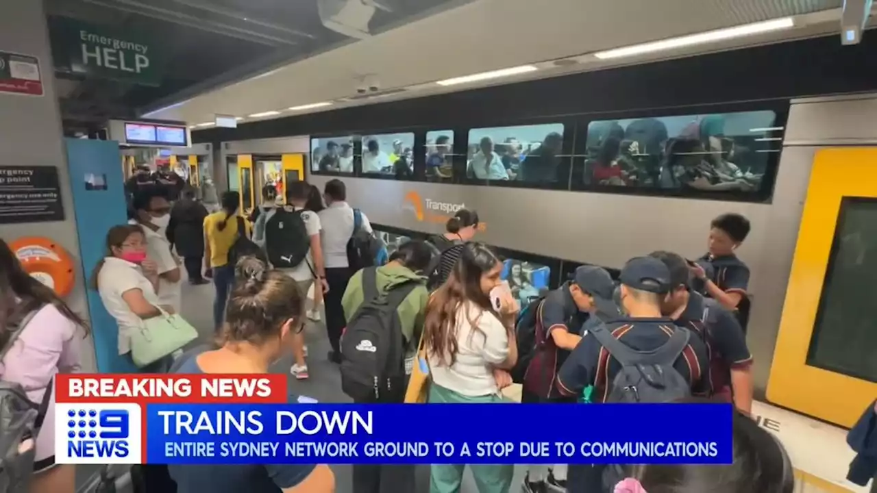 Entire Sydney train network brought to a standstill due to communication issue